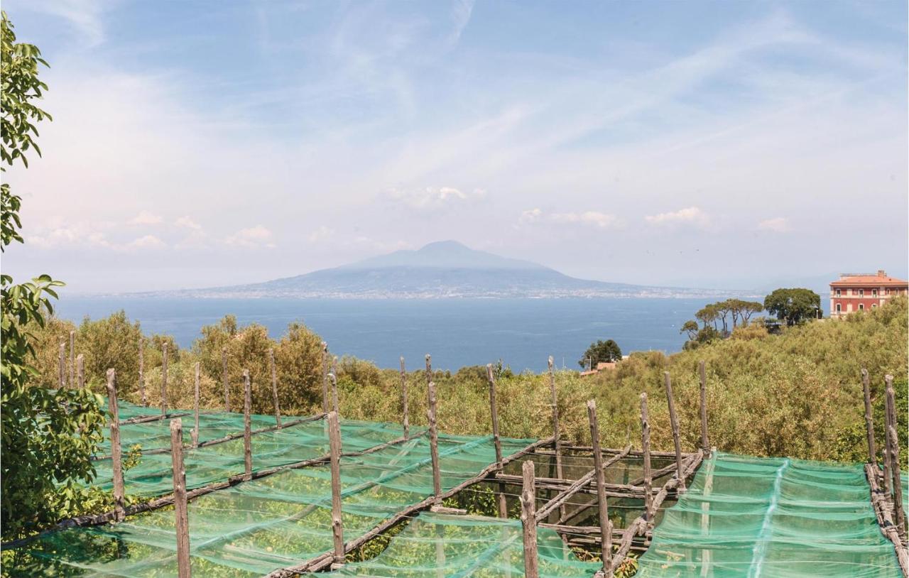 Villa La Limonaia Sorrento Eksteriør billede
